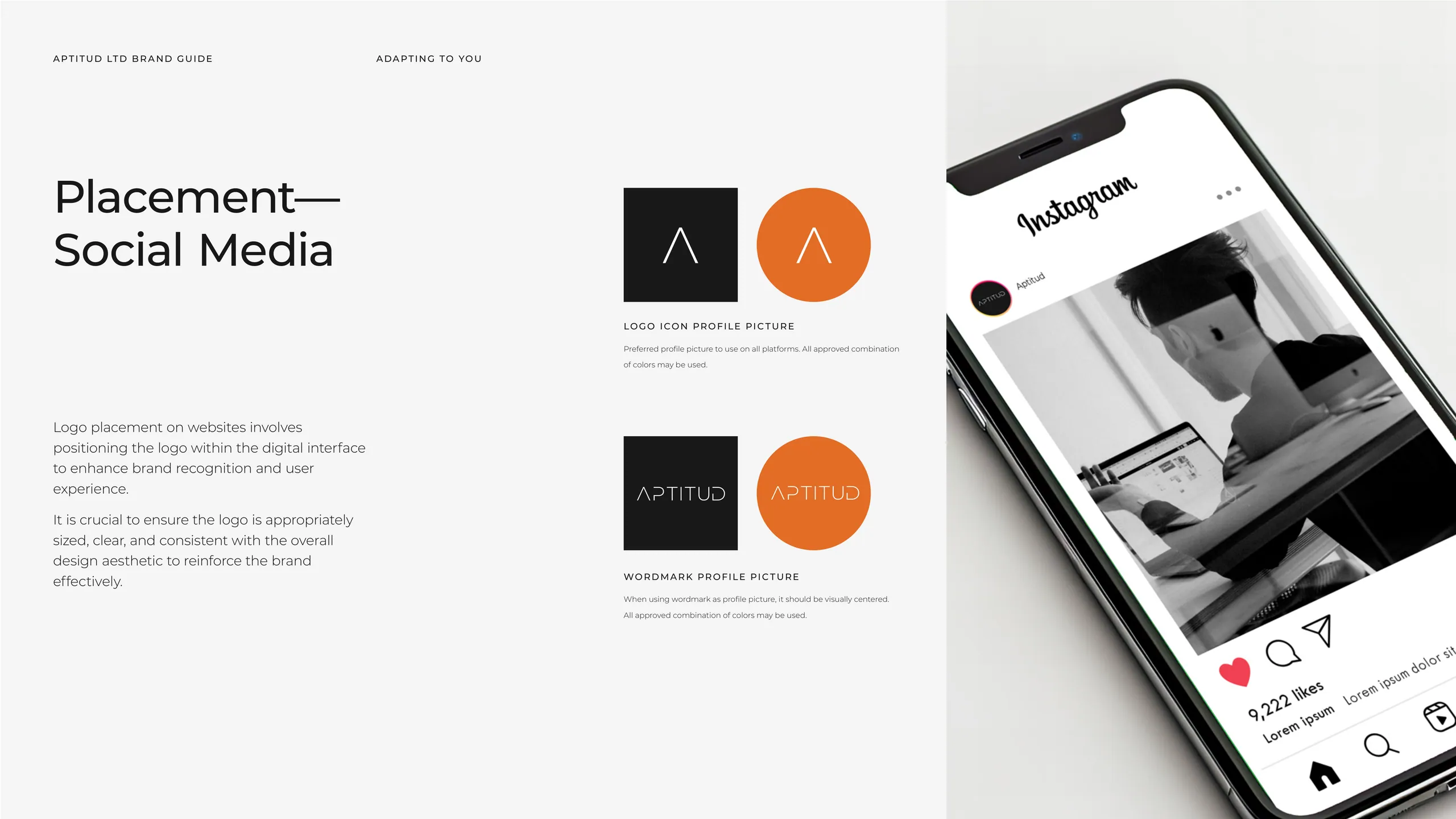 Aptitud brand identity 2